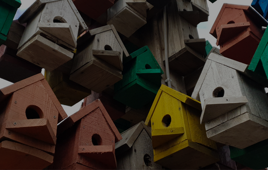 Best Bird House Gifts for Garden Lovers