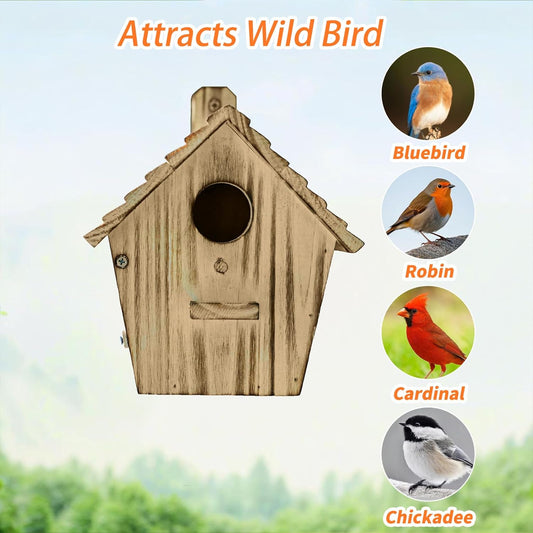 Wooden birdhouse with circular bird photos on display card, light brown