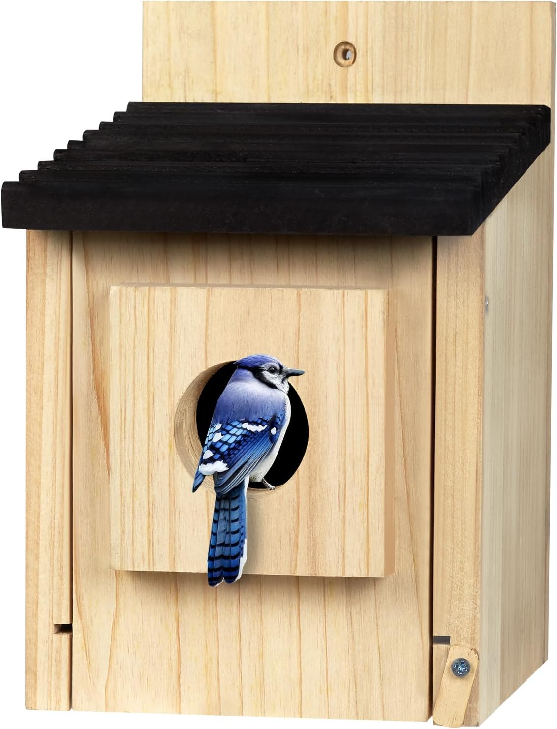 Wooden birdhouse with dark roof; bluebird perched at round entrance hole on front panel.
