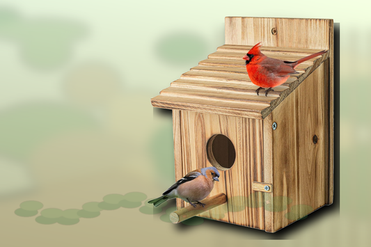 NATUREYLWL natural wooden bird house seasonal backyard garden setup image