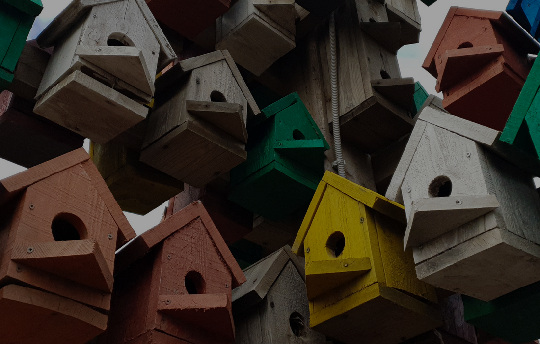 Best Bird House Gifts for Garden Lovers