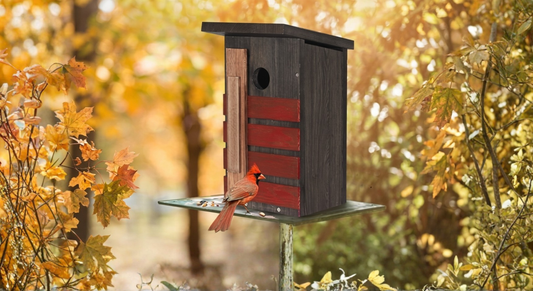 Which birdhouse shape actually attracts the most birds to your yard?