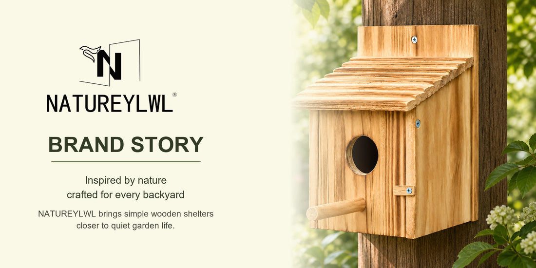 Where to Place a Bird House Outside | Backyard Placement Guide