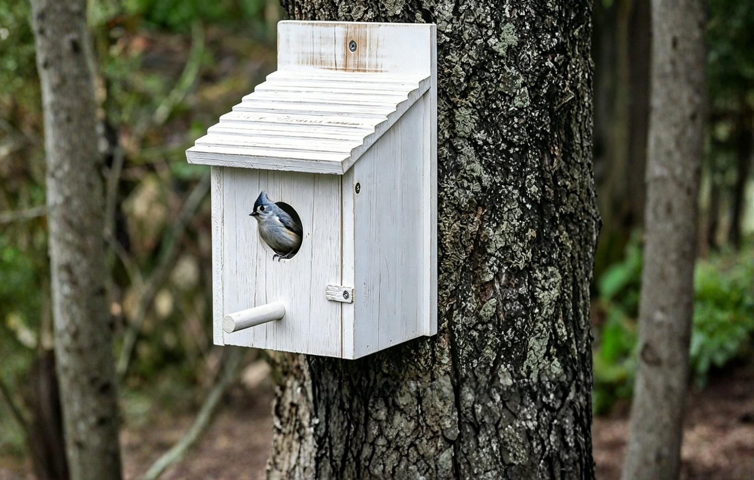 Wooden Bird House