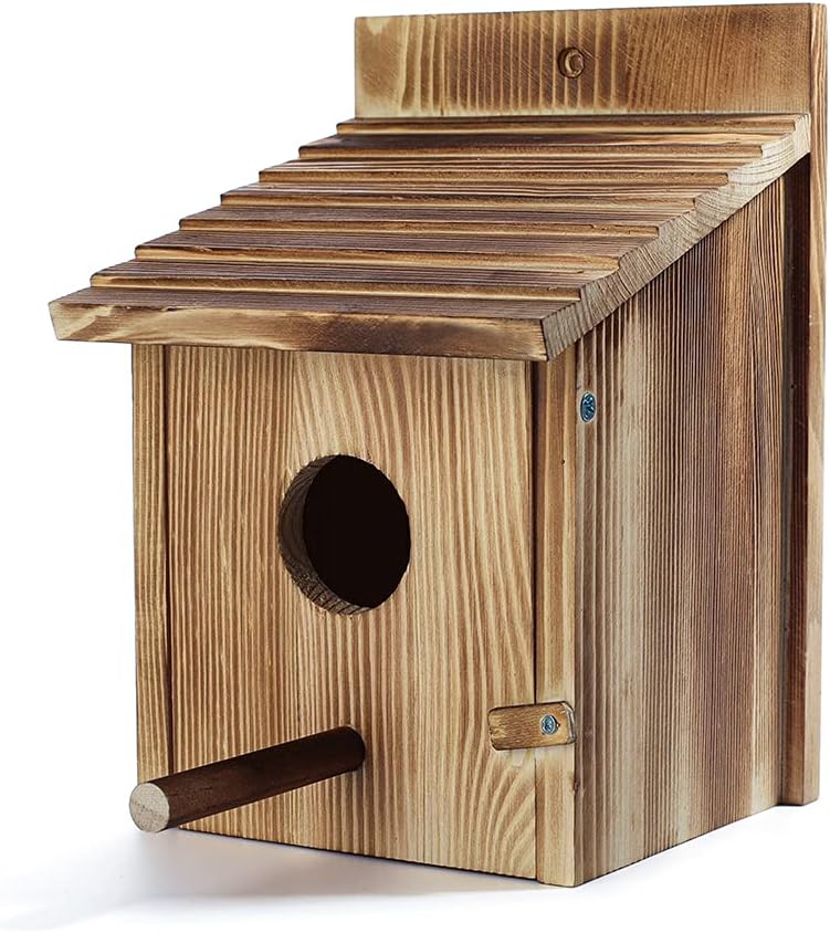 Wooden birdhouse close-up with round entrance hole, slanted roof, and wooden latch