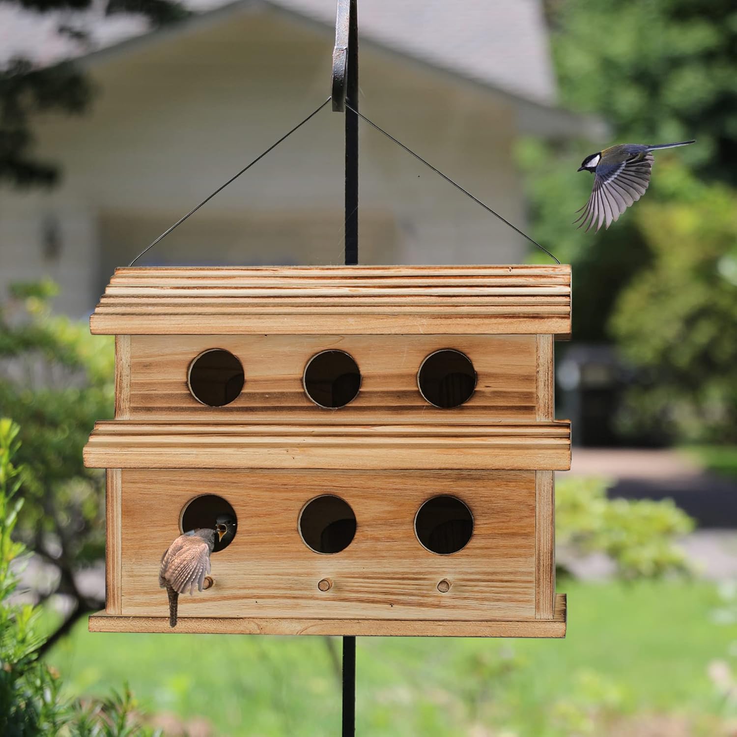 Wooden hanging bird house with six entrance holes and roof cord, bird at lower opening