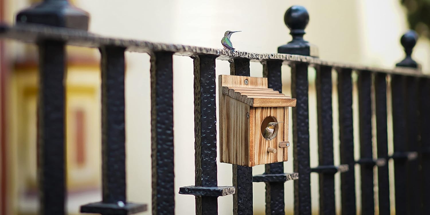 Wooden bird nesting house on post with circular entrance and perch, small bird nearby.