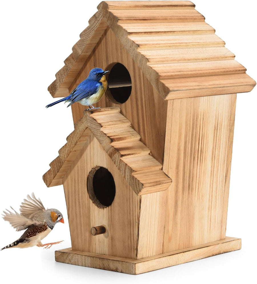 Two-hole wooden bird house close-up with two circular entrances and birds at porch.