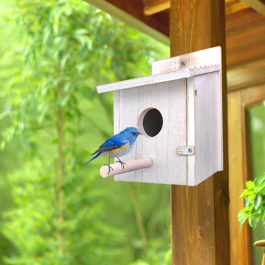 White wooden bird house with round hole and side perch; bluebird perched outside