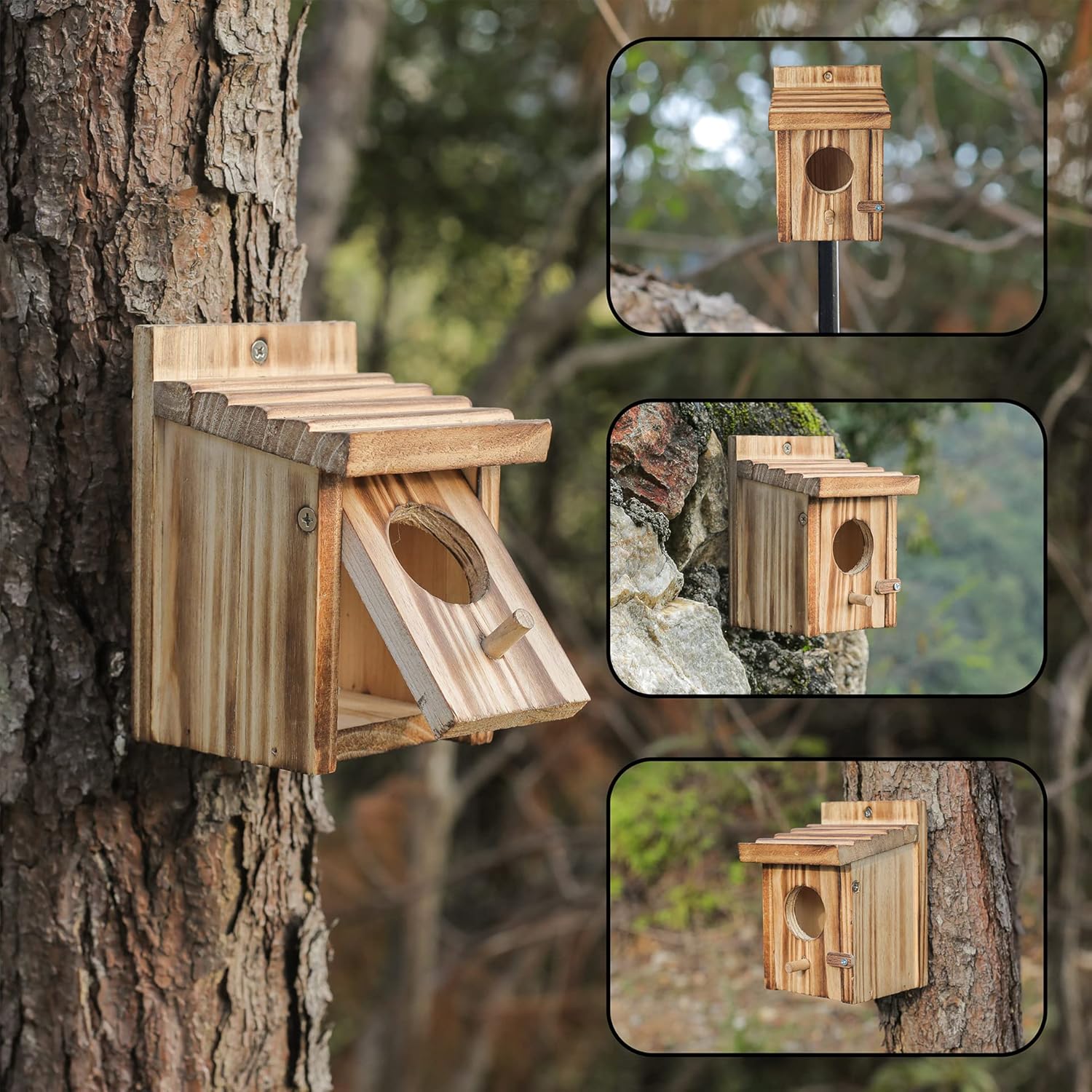 Wooden birdhouse with circular entrance shown in multiple angles on tree.