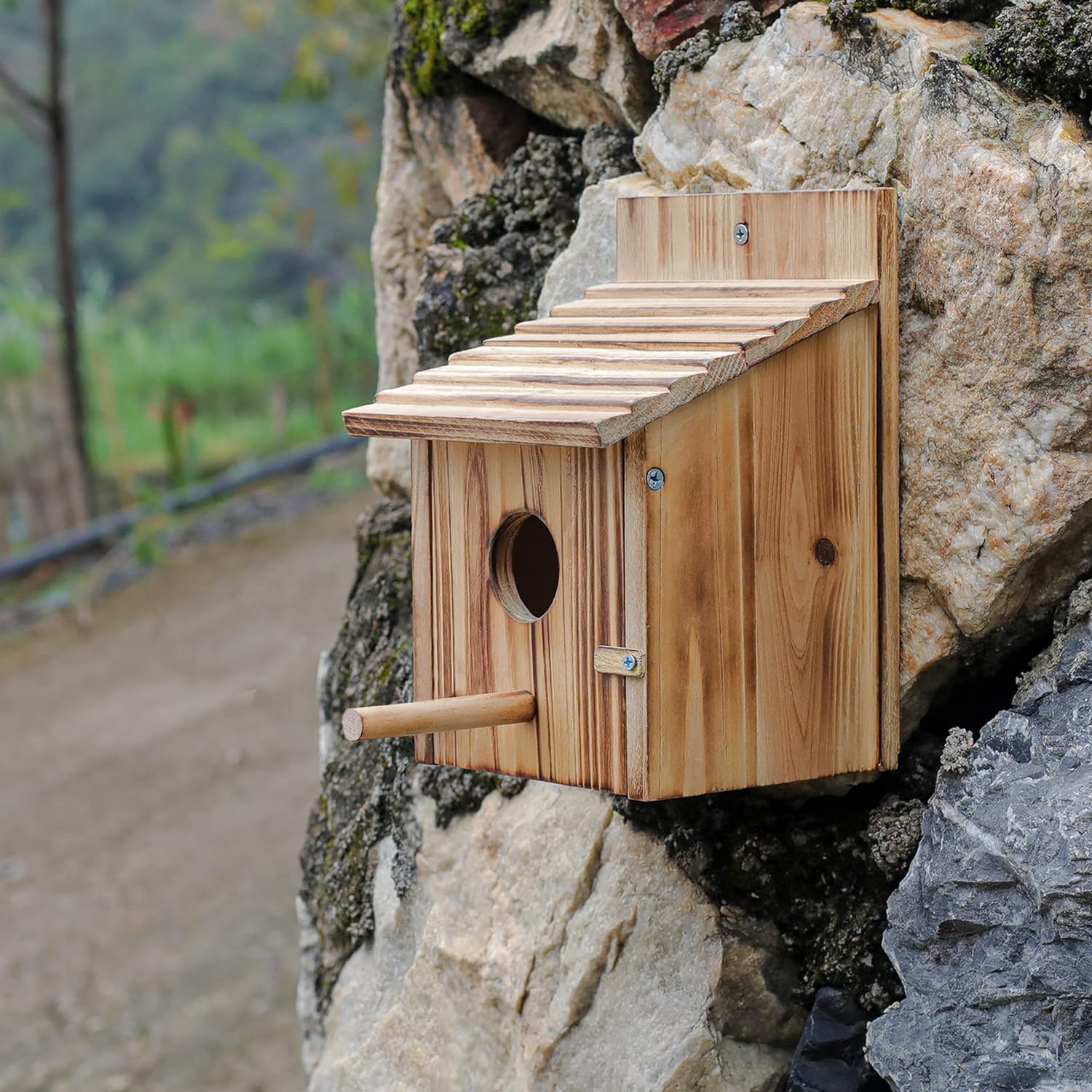 Wooden birdhouse with round entrance and side perch, mounted on outdoor rocks