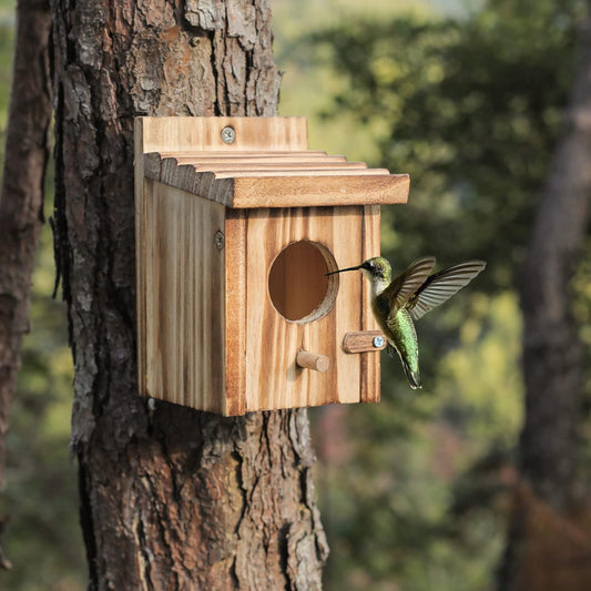 Wooden bird nesting house hanging on tree with round entrance hole and perch.