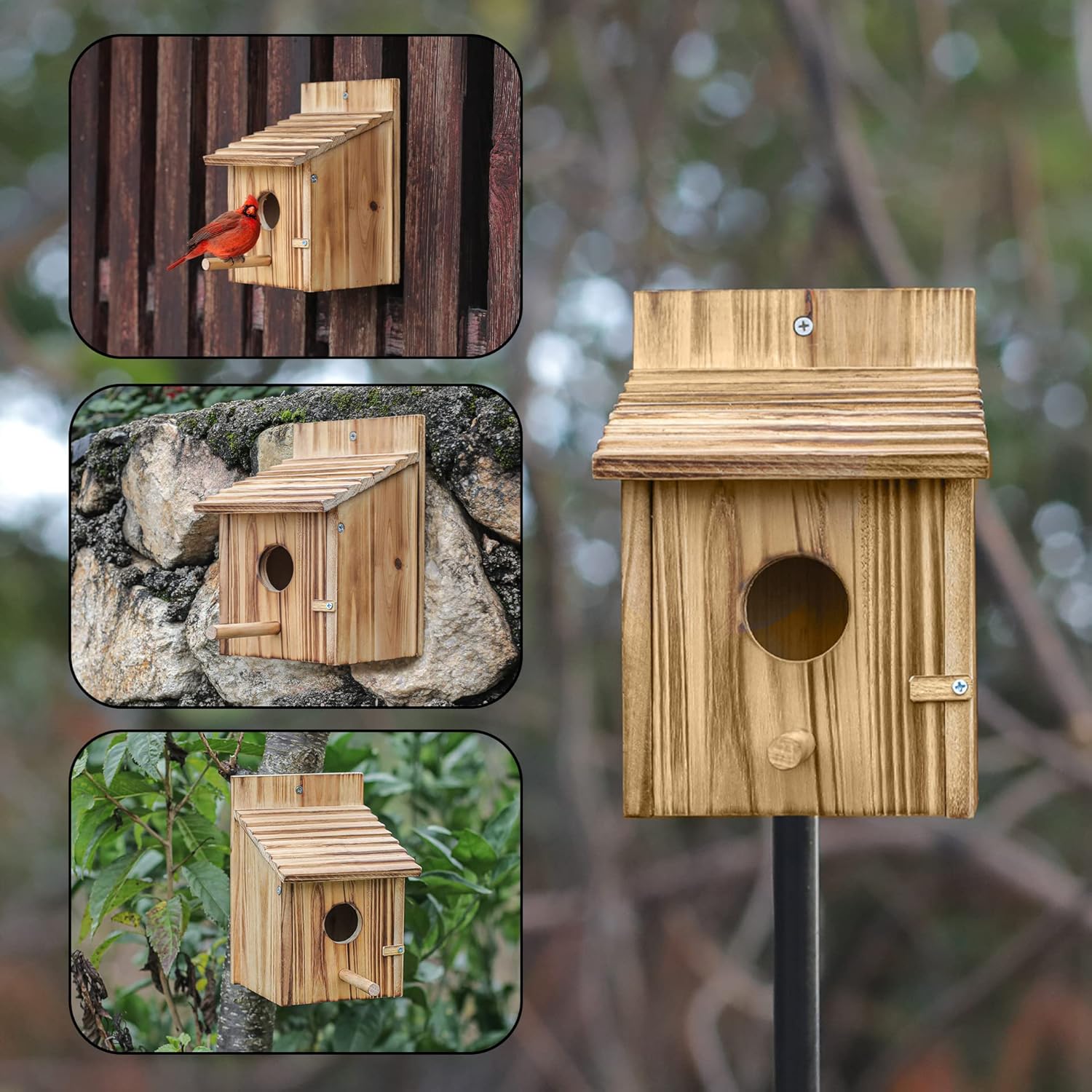Wooden birdhouse with round entrance hole and hinged door, shown with inset views