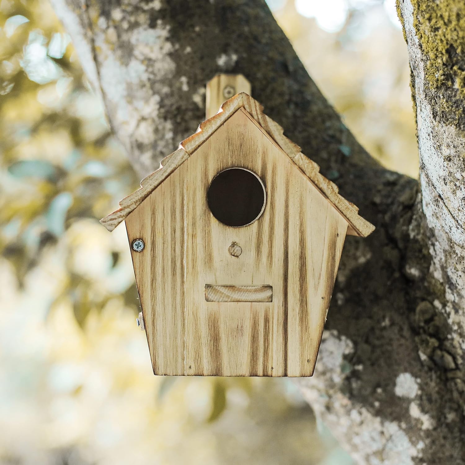 Wooden birdhouse on tree bark with round entrance hole, light brown wood
