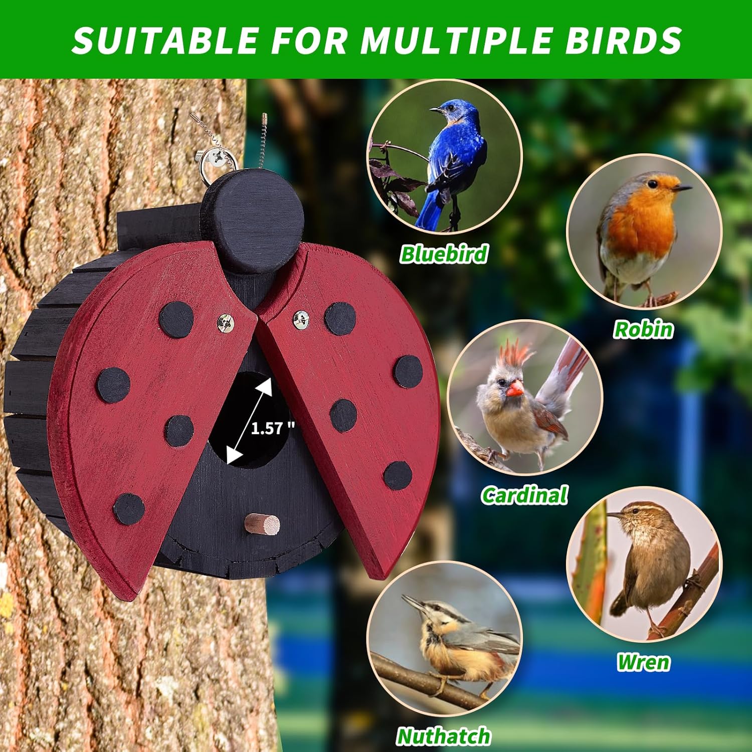 Red ladybug-shaped wooden bird house with circular entrance and polka-dot wings