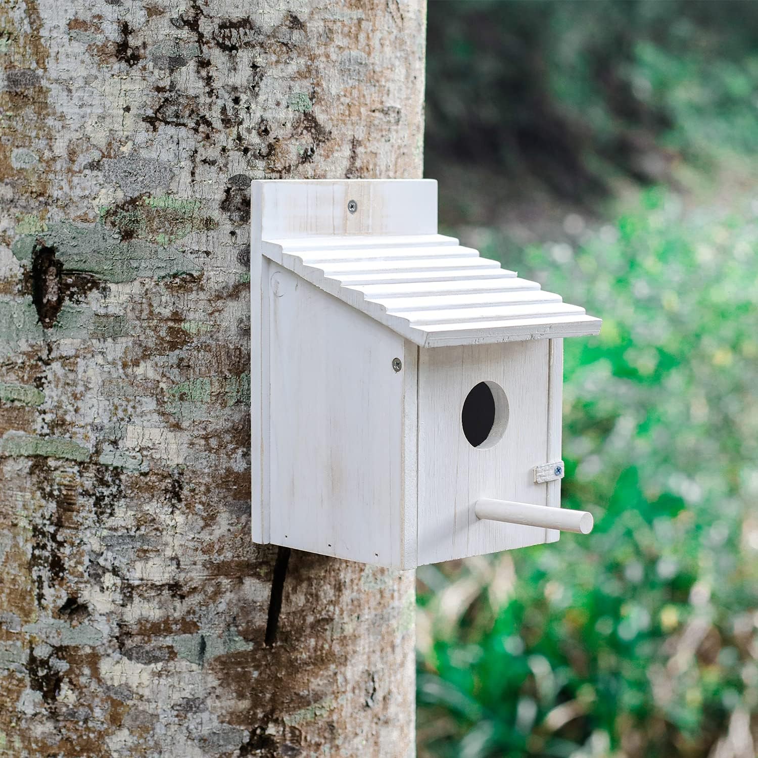 White wooden bird house with roof overhang, round entrance, and side perch