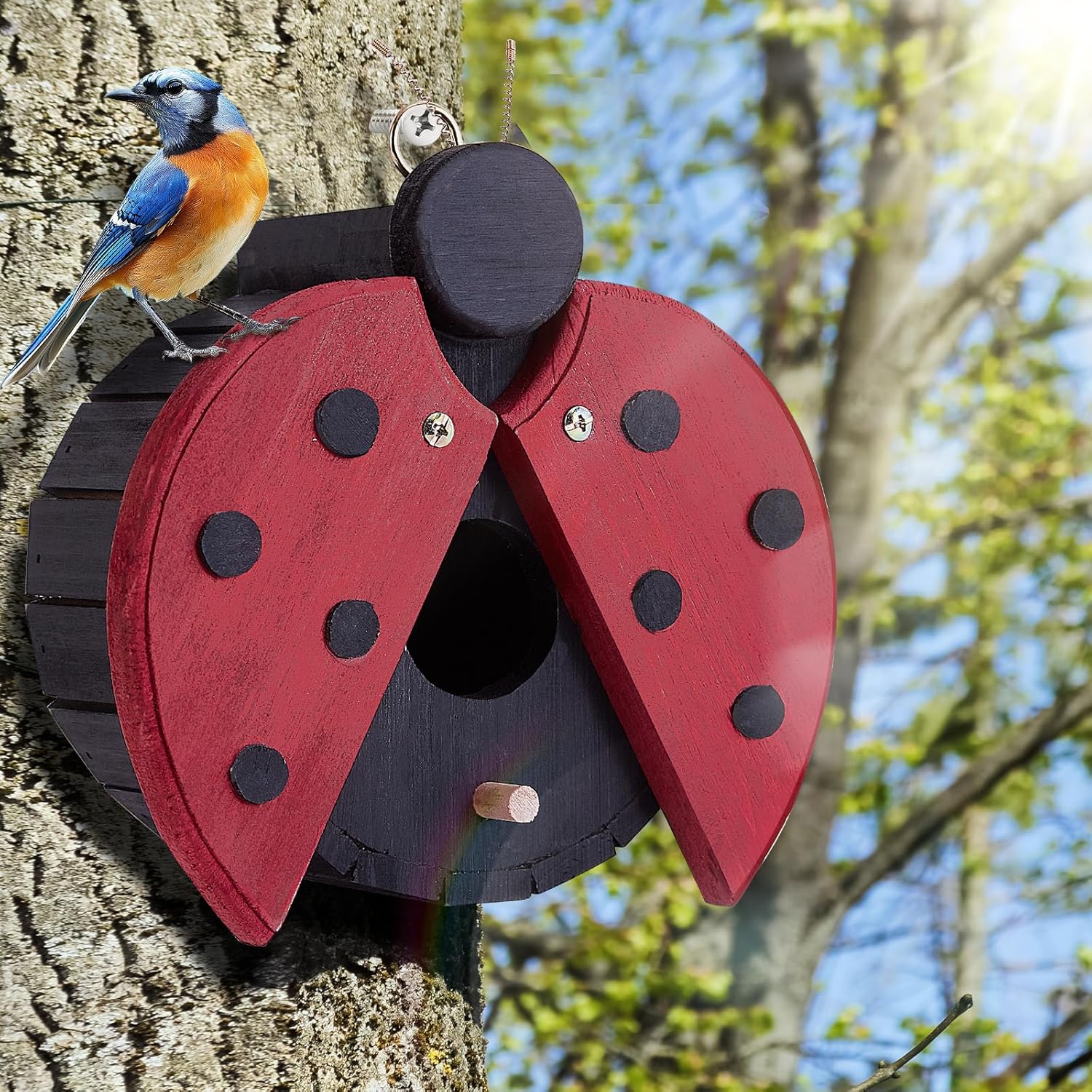 Red ladybug-shaped wooden hanging bird house with circular entrance and polka-dot wings