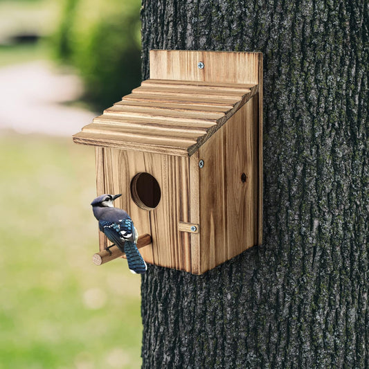 Wooden birdhouse with round entrance hole and roof perch, mounted on a tree