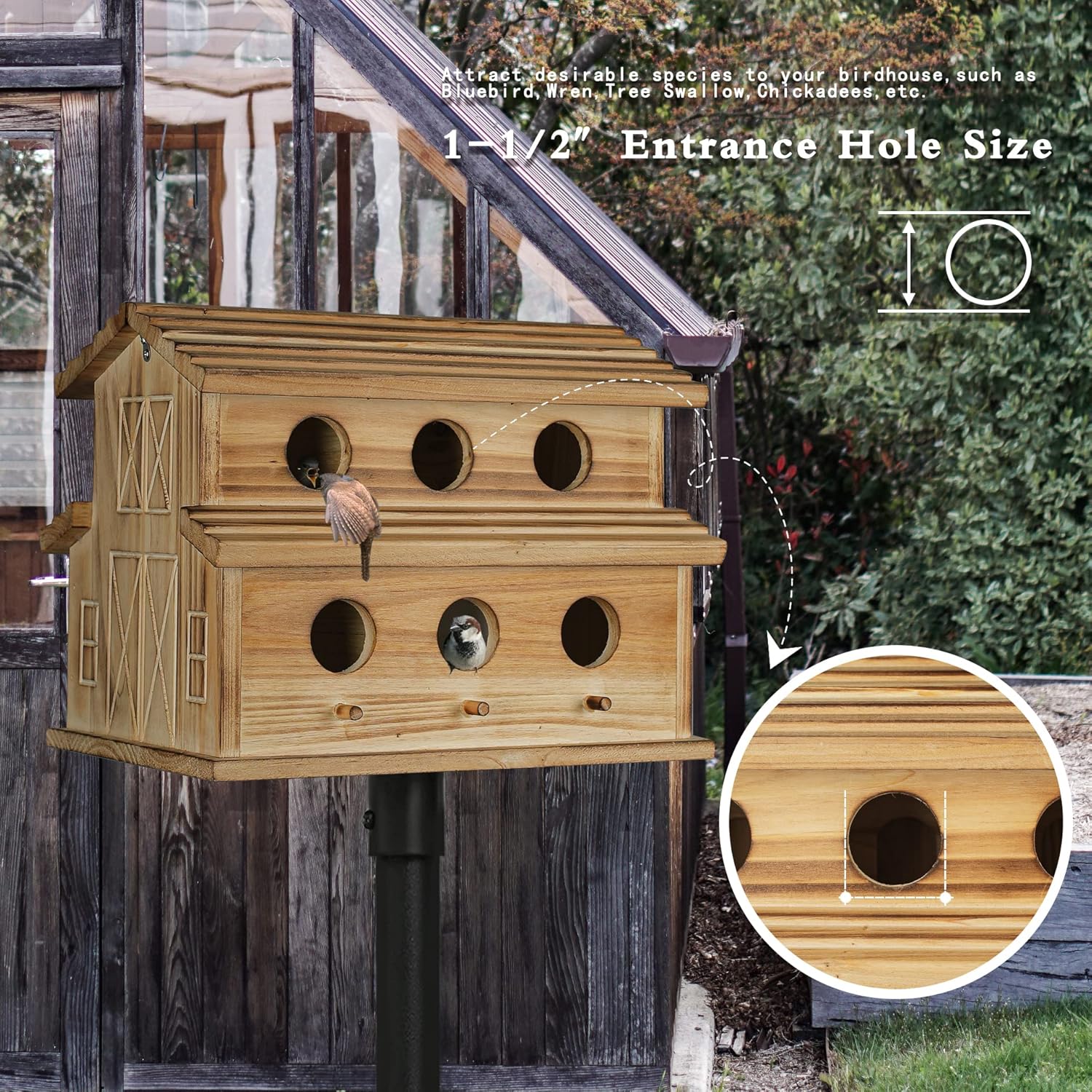 Wooden hanging bird house with six entrance holes, close-up of circular entry