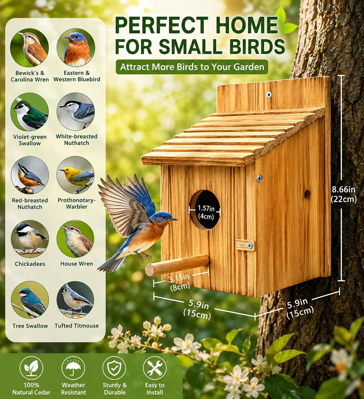 Wooden bird house with round entrance and small perch, mounted on a tree trunk