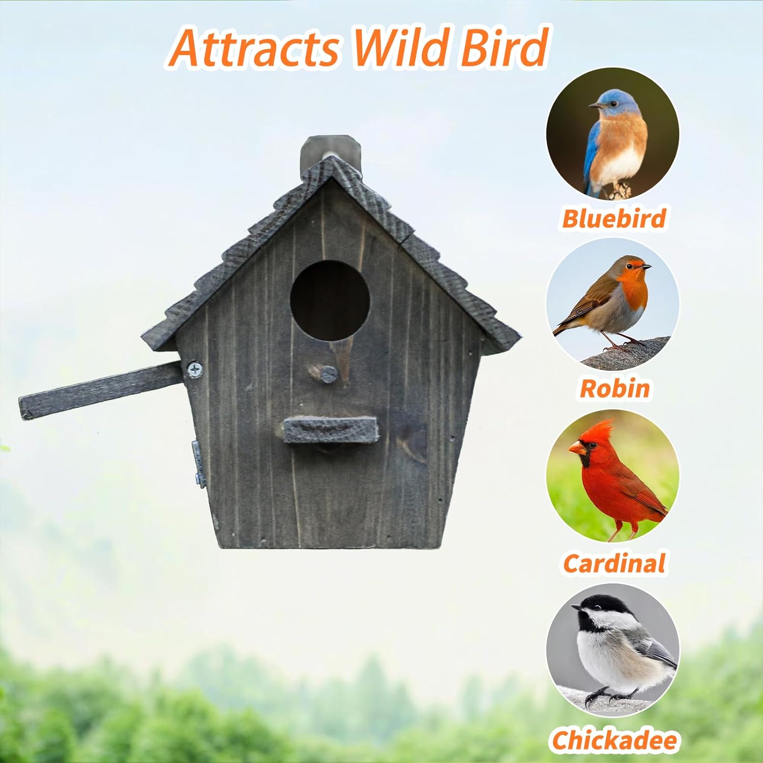 Dark wooden bird house with round entrance and side perch