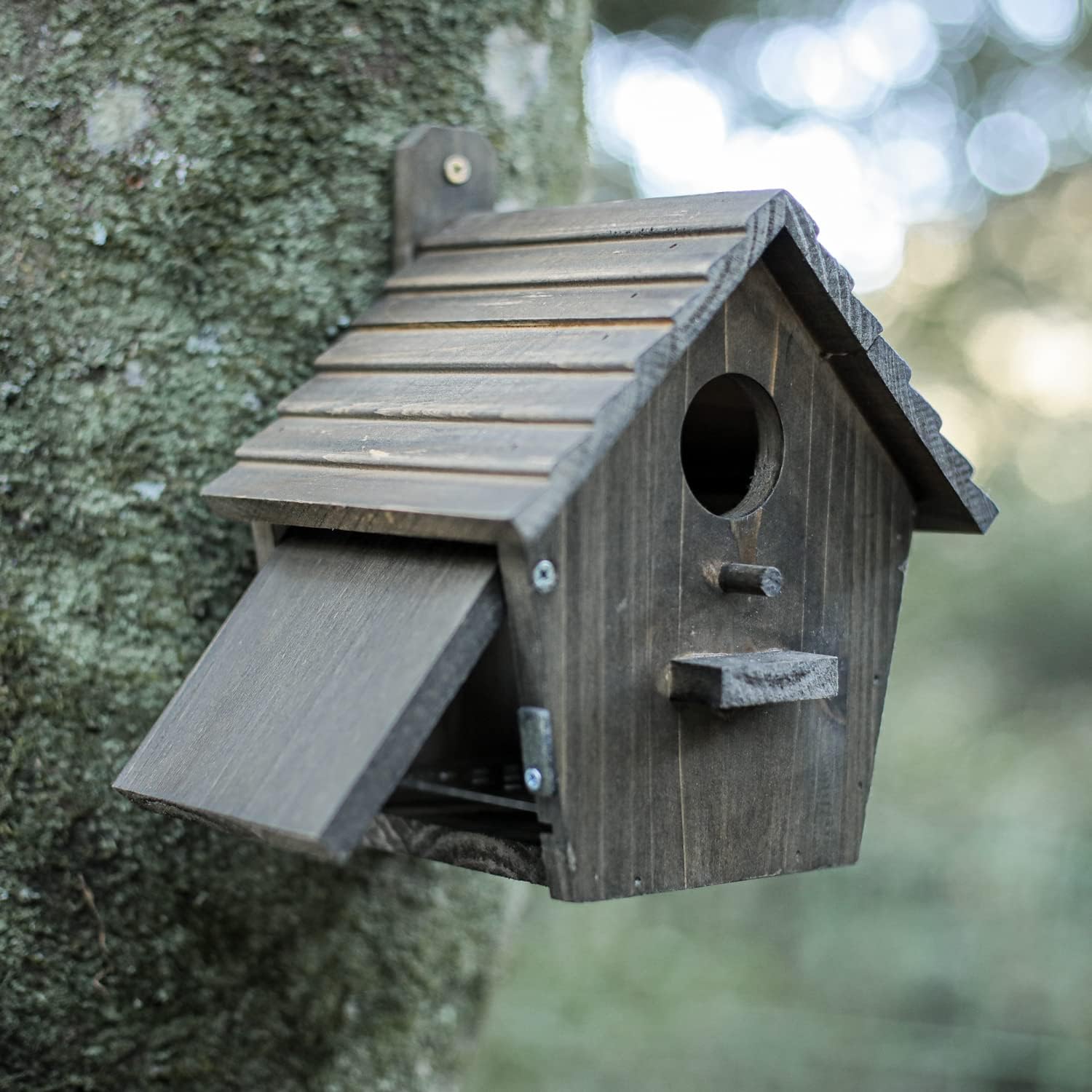 Dark wooden bird house with slatted roof shelf, round entrance hole, and side perch