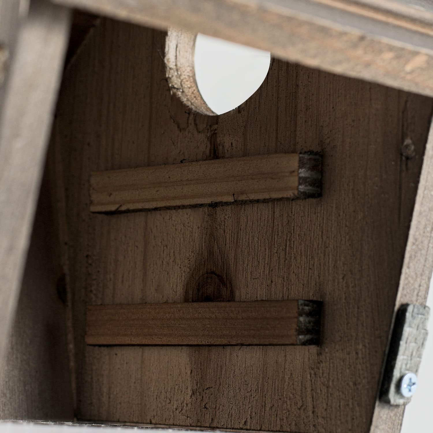 Wooden bird house interior showing round entrance cutout and two horizontal perches
