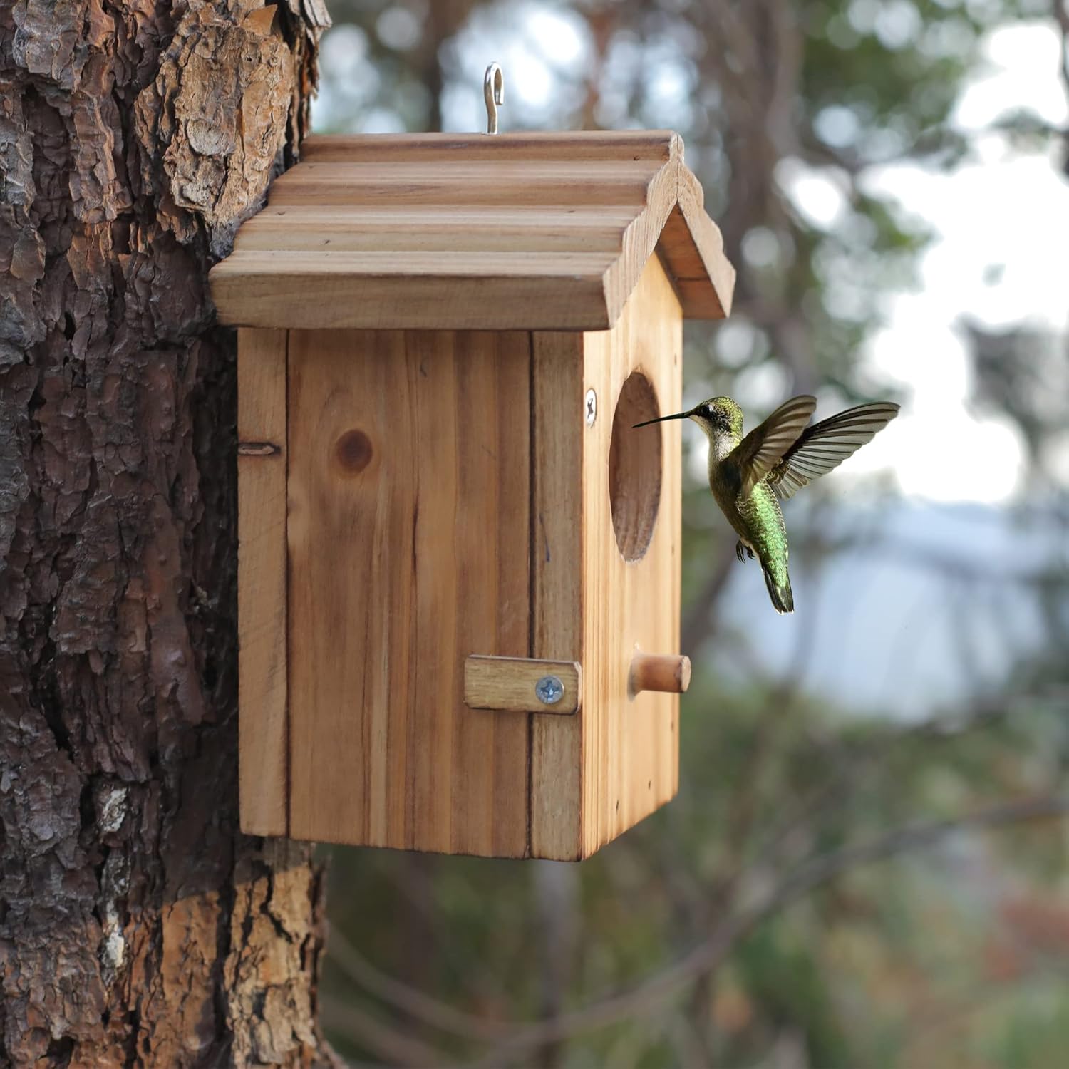 Wood mini hanging hummingbird house on tree with circular entrance and bird at opening.
