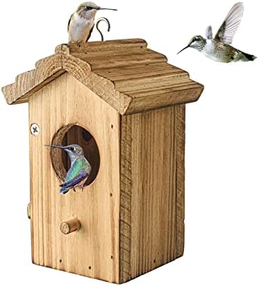 Wood hummingbird house with circular entrance, front door, and hanging hook, birds nearby.