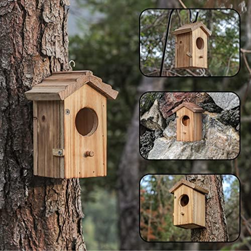 Wood hummingbird house on tree with circular entrance, front door, and angled roof.