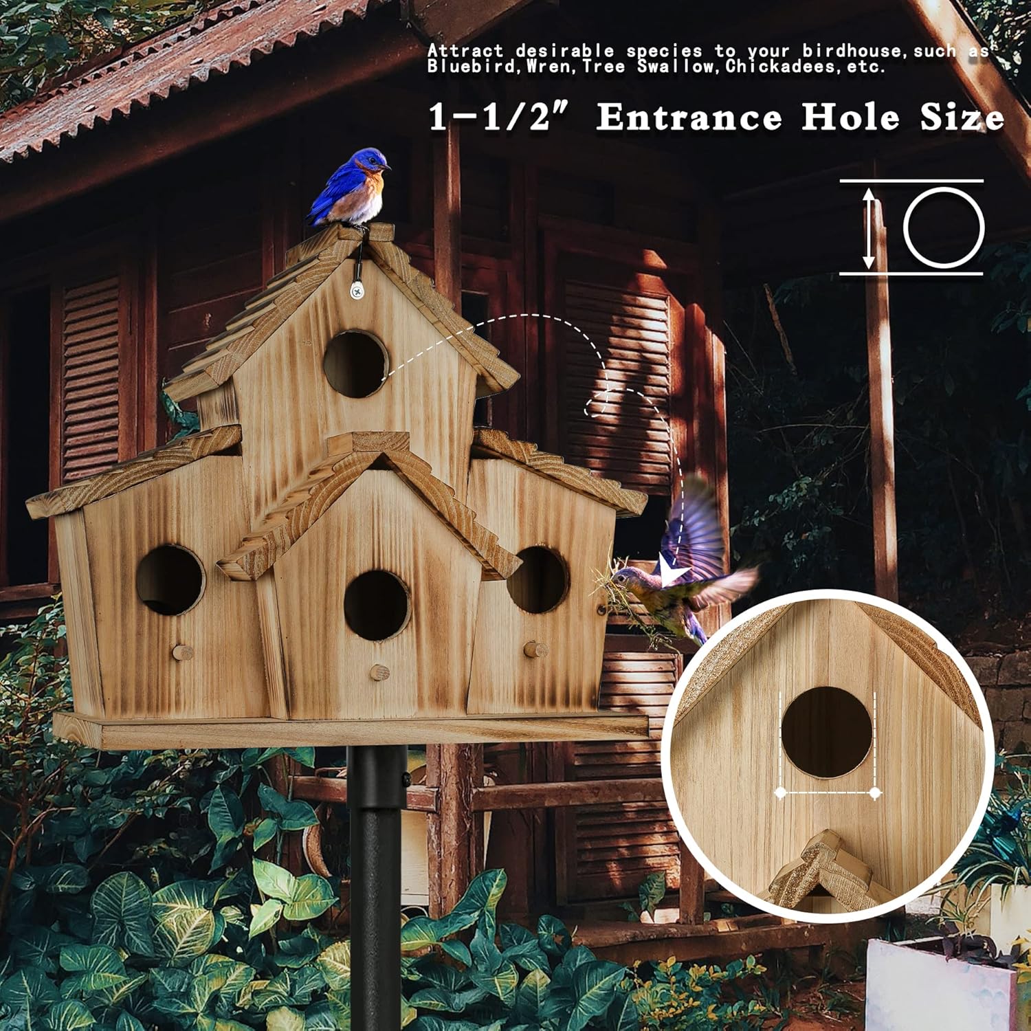 Wooden outdoor bird house with four entrance holes on a pole