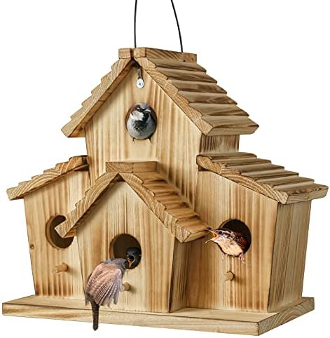 Wooden four-hole outdoor bird house with small birds at the openings