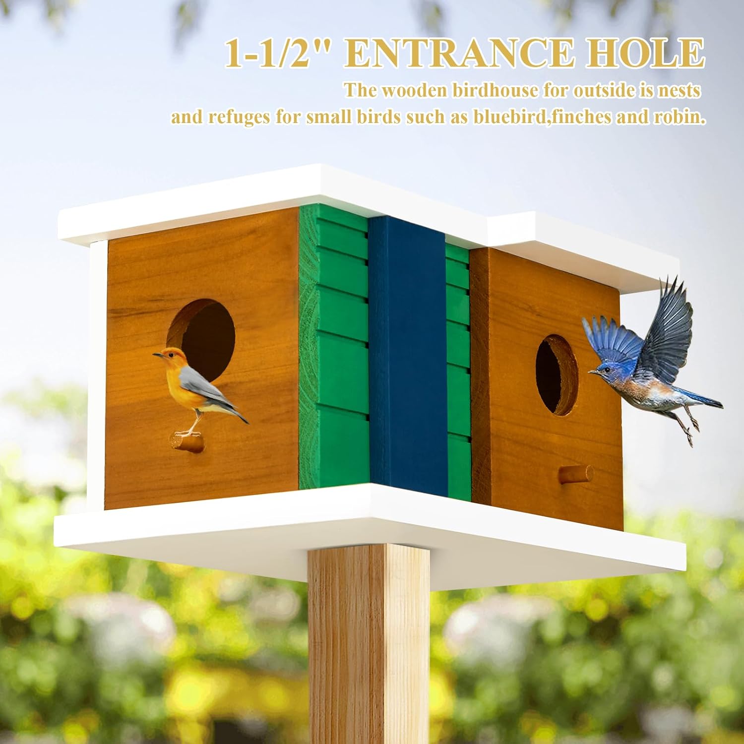 Wooden 2-hole bird house with two round entrance holes, green and blue slatted center panels