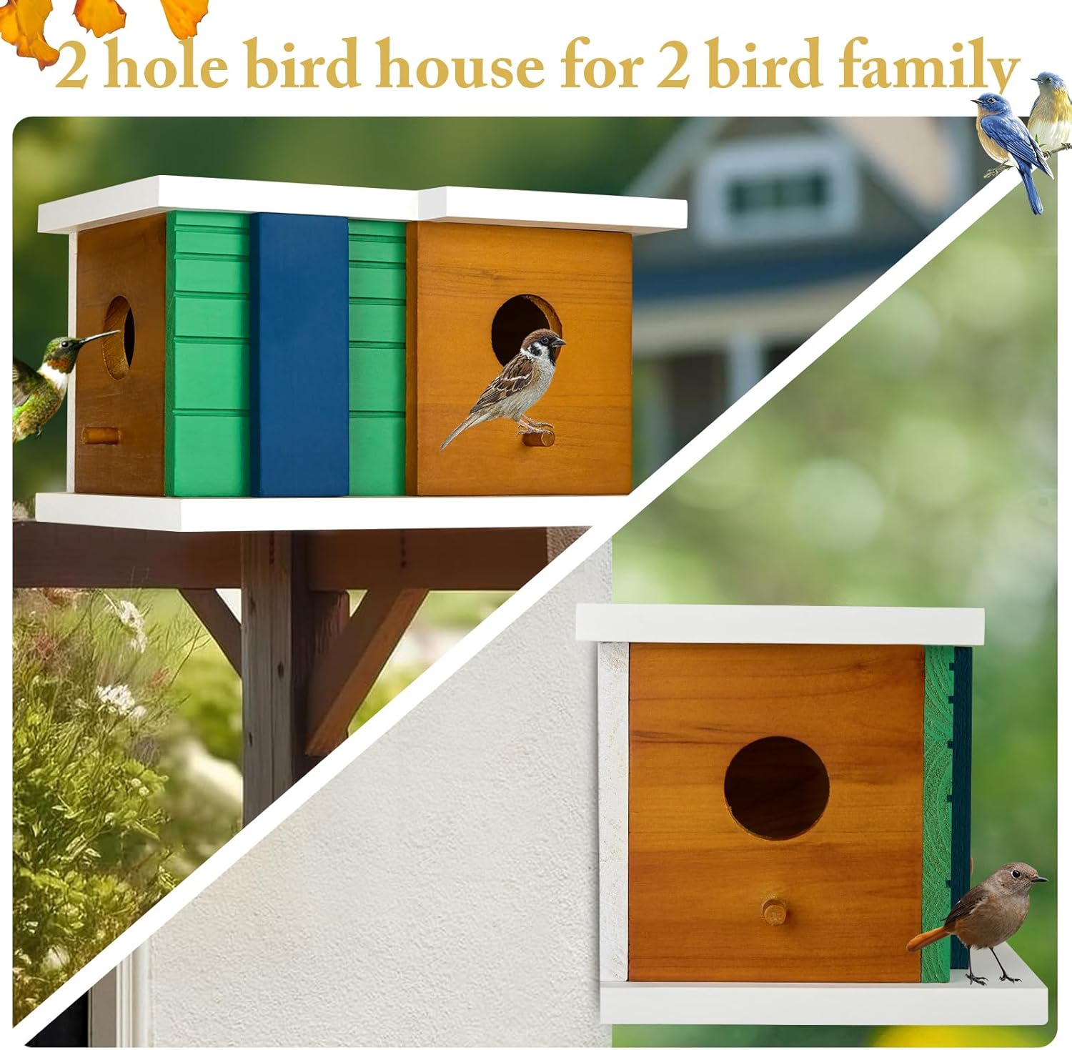 2-hole wooden bird house with white roof, circular entrances, and green and blue panels on stand