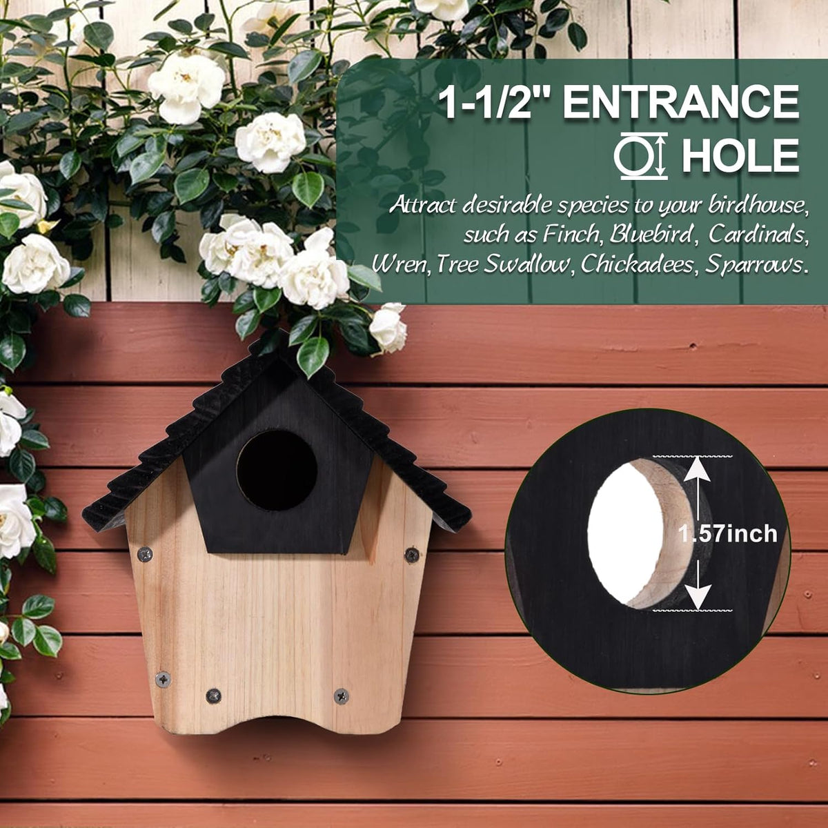 Wooden birdhouse with black roof and large entrance hole, 1-1/2 in opening