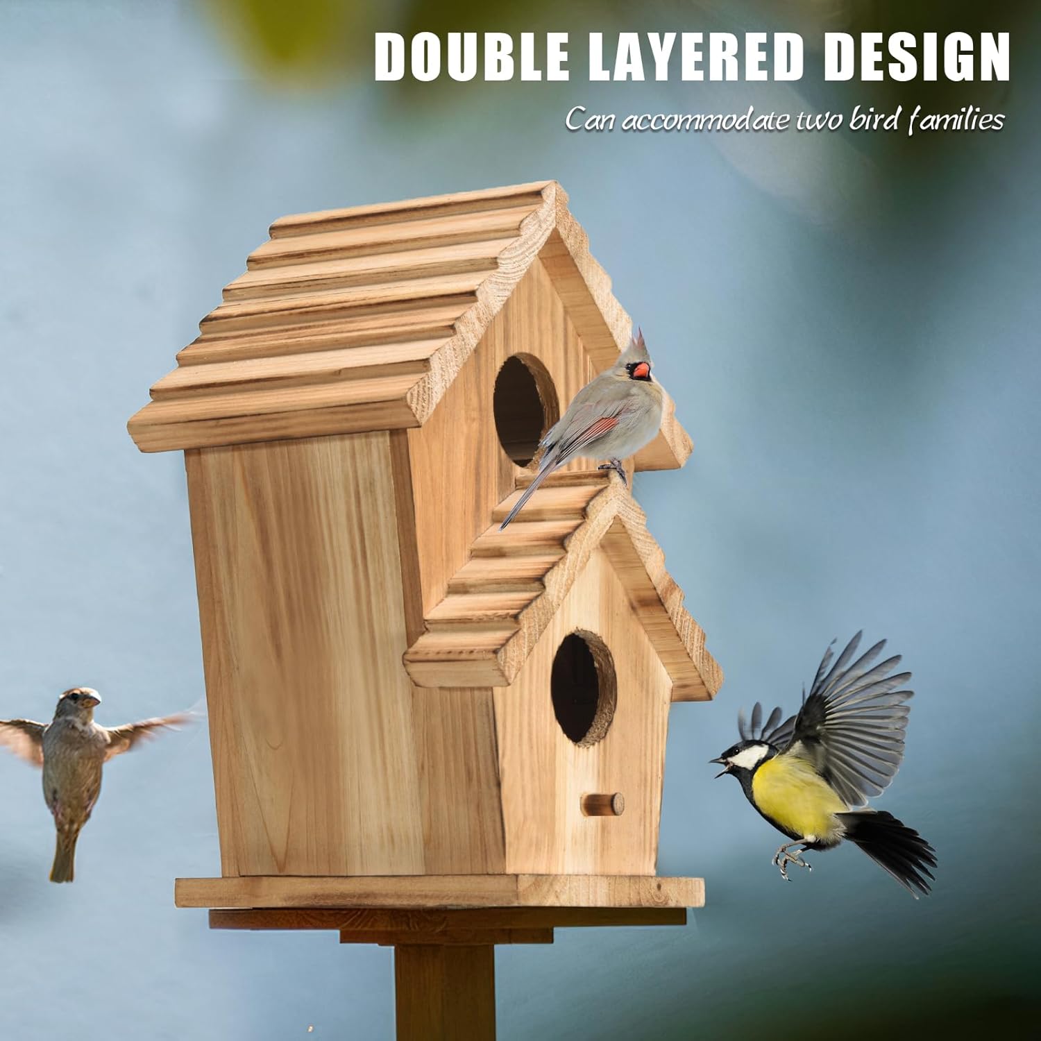 Two-hole wooden bird house front view with two entrances and birds flying nearby.