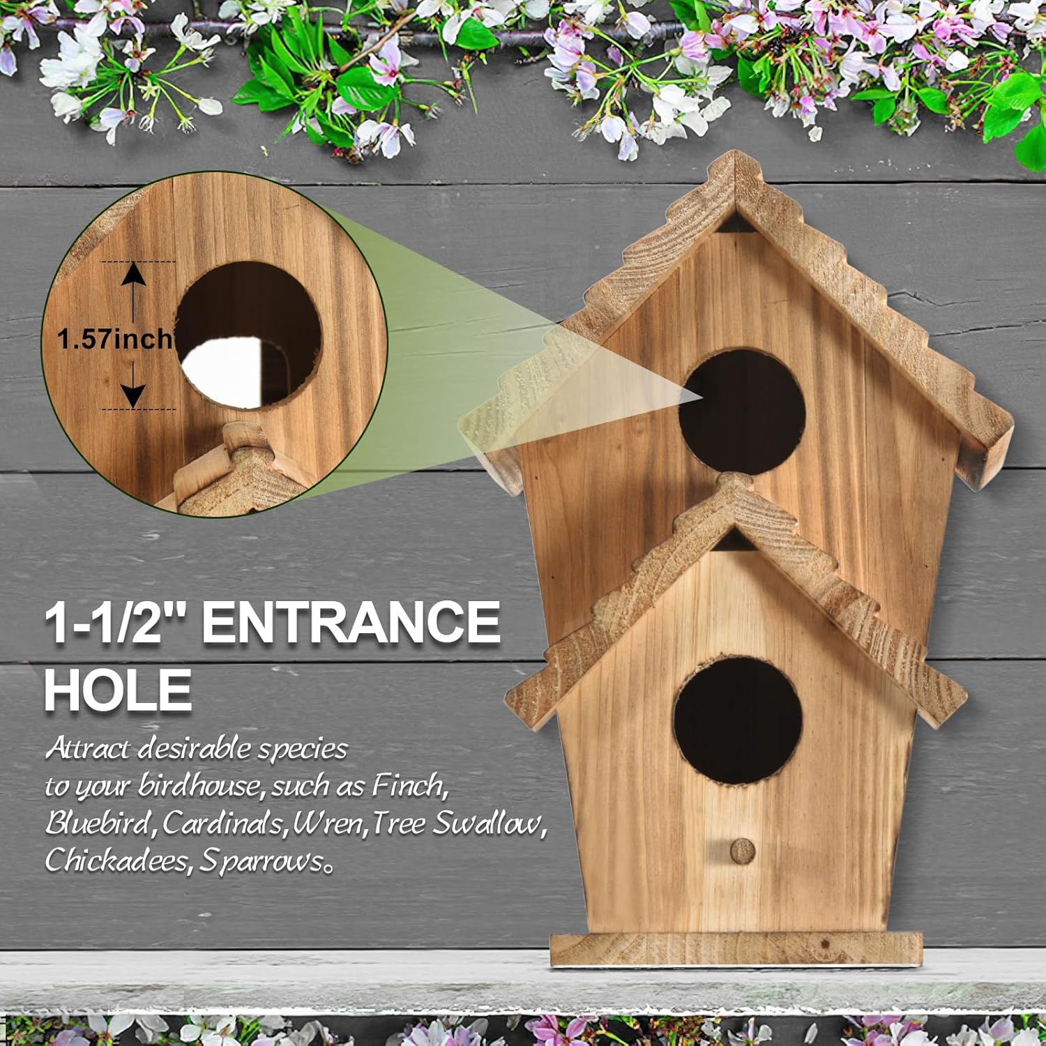 Two-hole wooden bird house with 1-1/2 inch entrance hole and two dark openings.