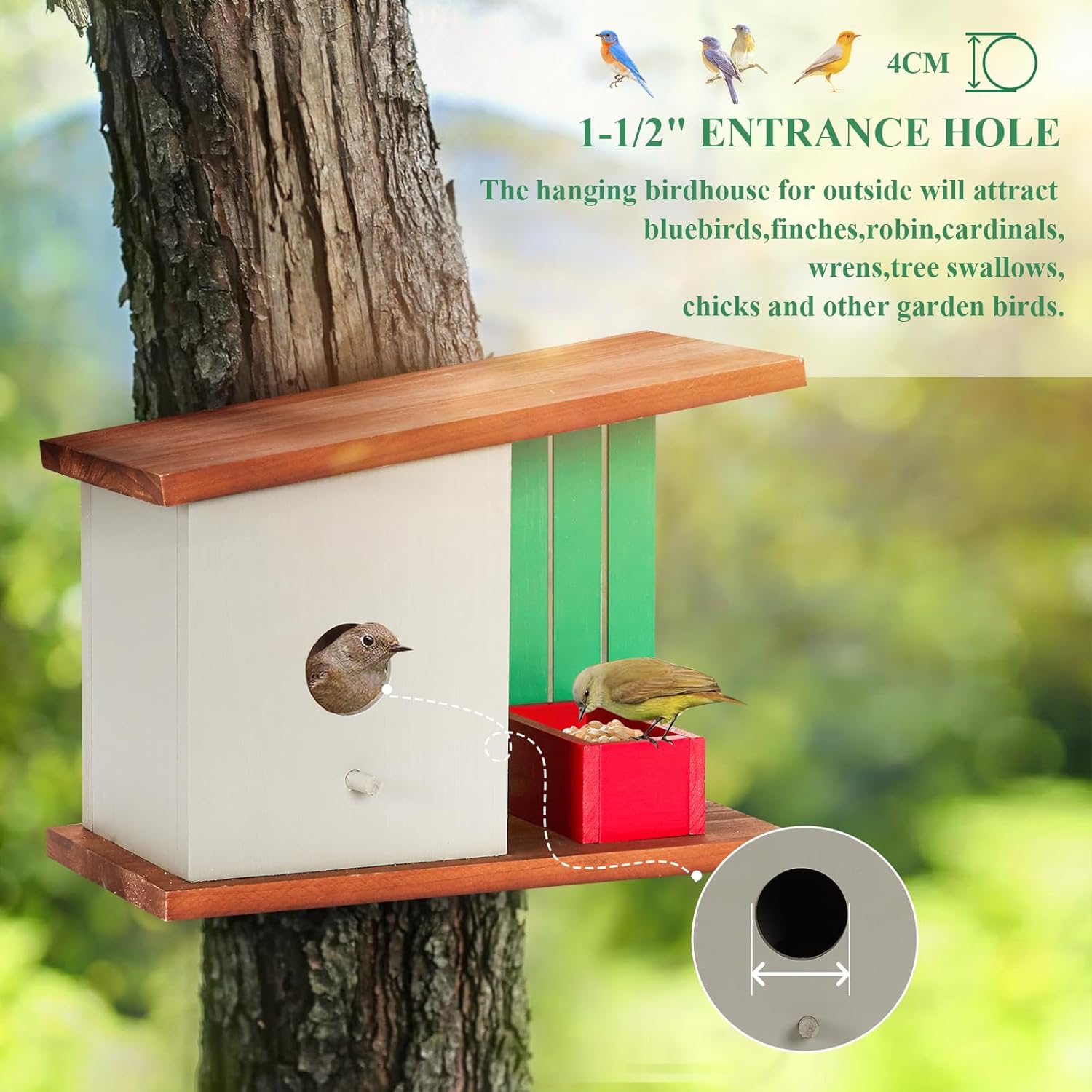 Wooden bird house with round entrance hole and red feeder box on hanging post.