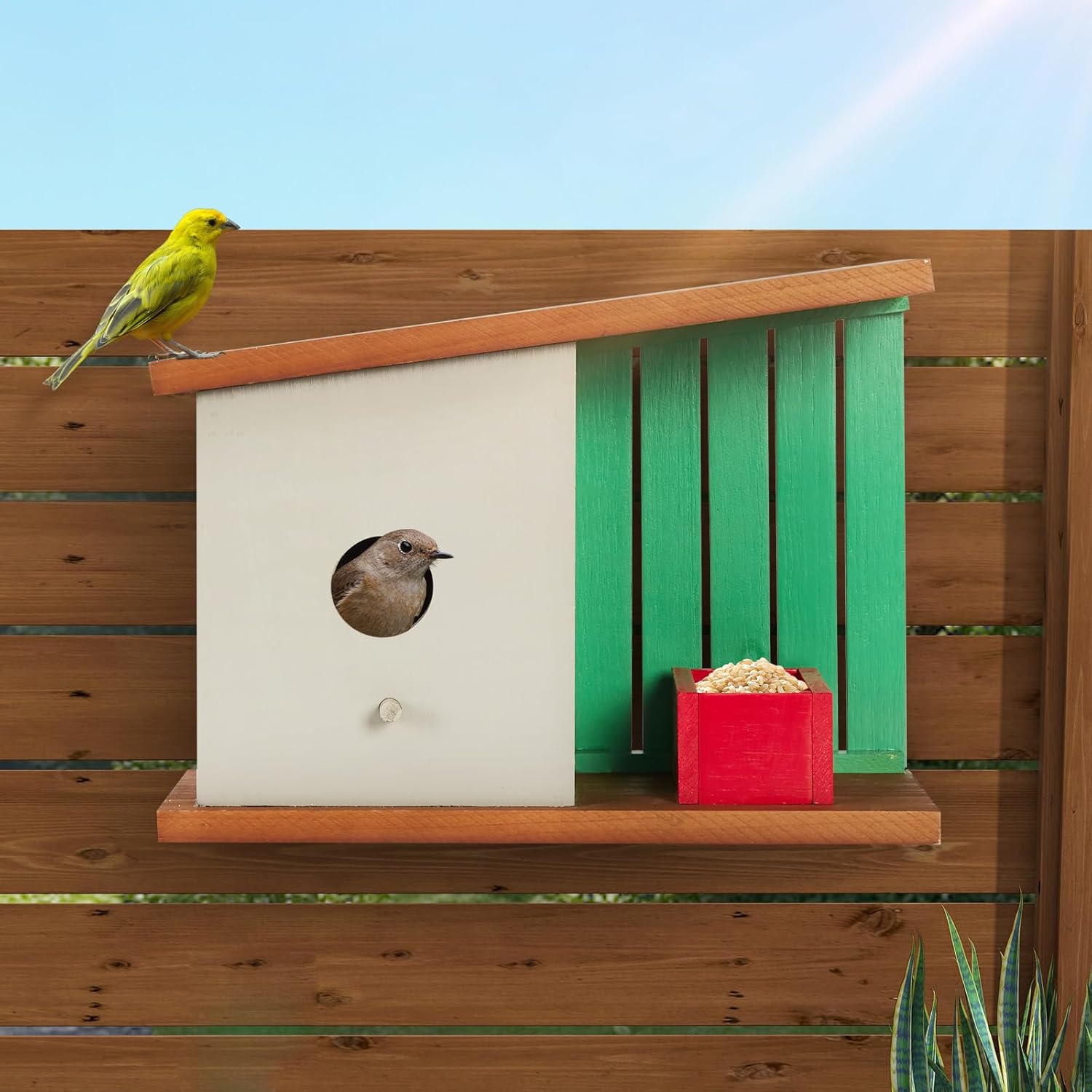 Wooden bird house with green slatted back and red feeder box, small birds outside.