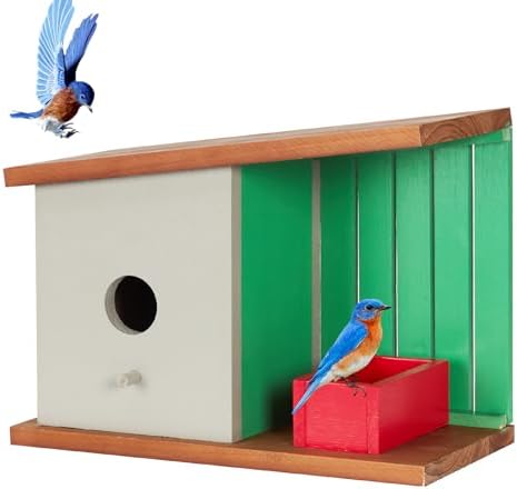 Wooden bird house with round entrance hole, green slatted interior, and red feeder.