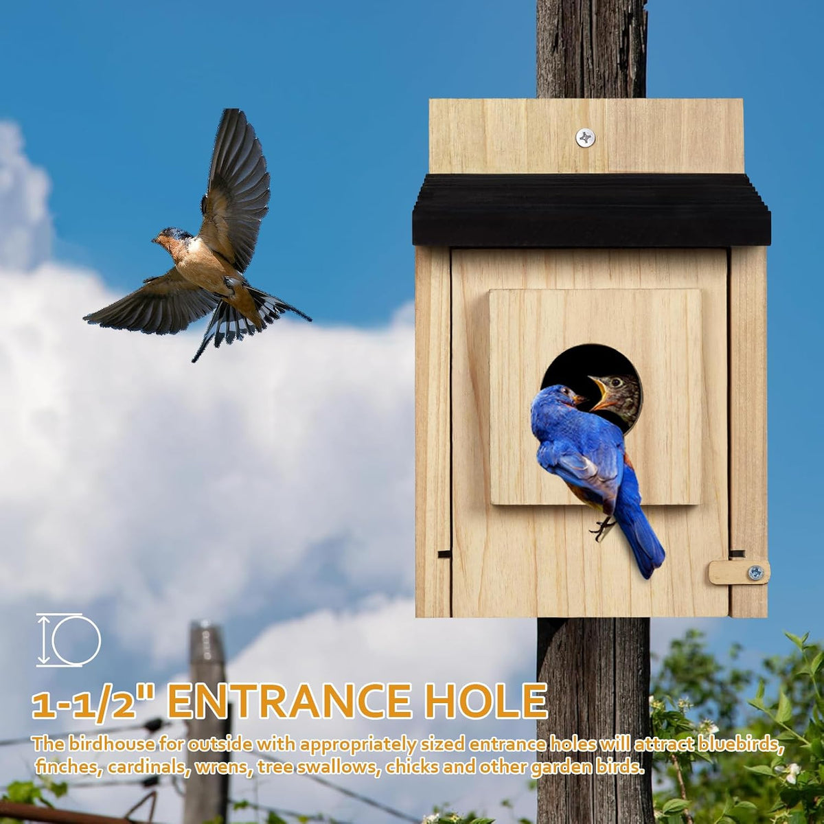 Wooden birdhouse on a post with dark roof and rectangular front panel with round entrance.