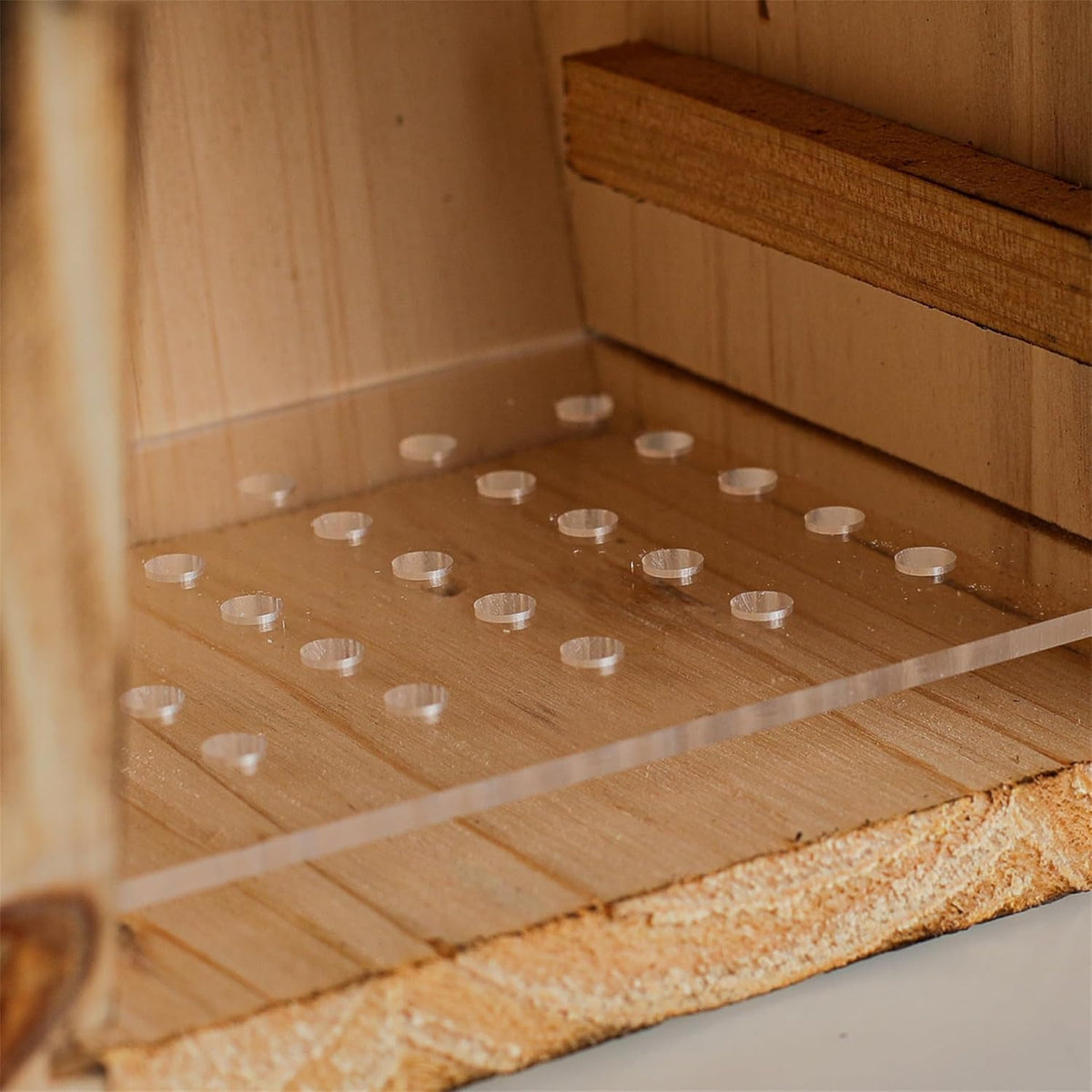 Weatherproof wooden bluebird house interior floor with raised plank and small drainage holes