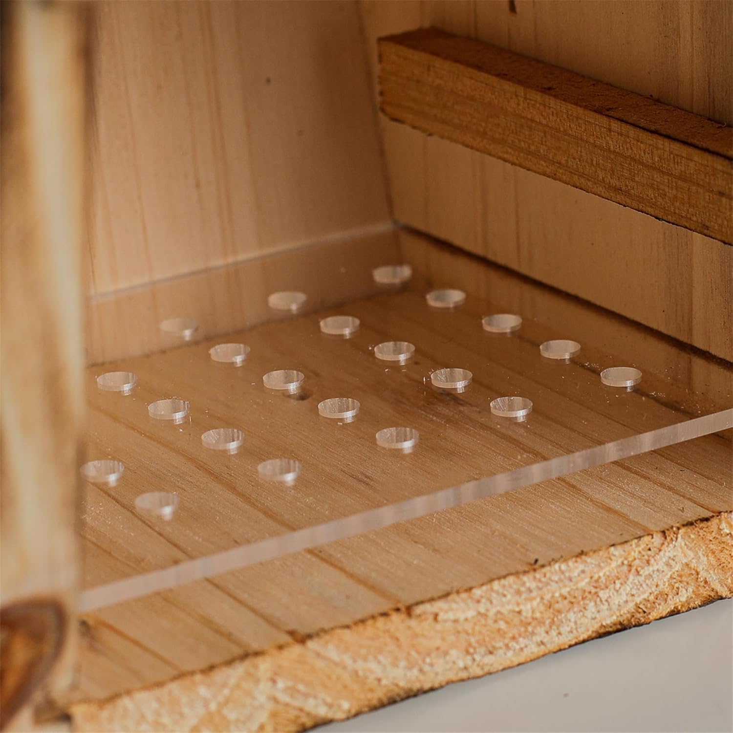 Weatherproof wooden bluebird house interior floor with raised plank and small drainage holes