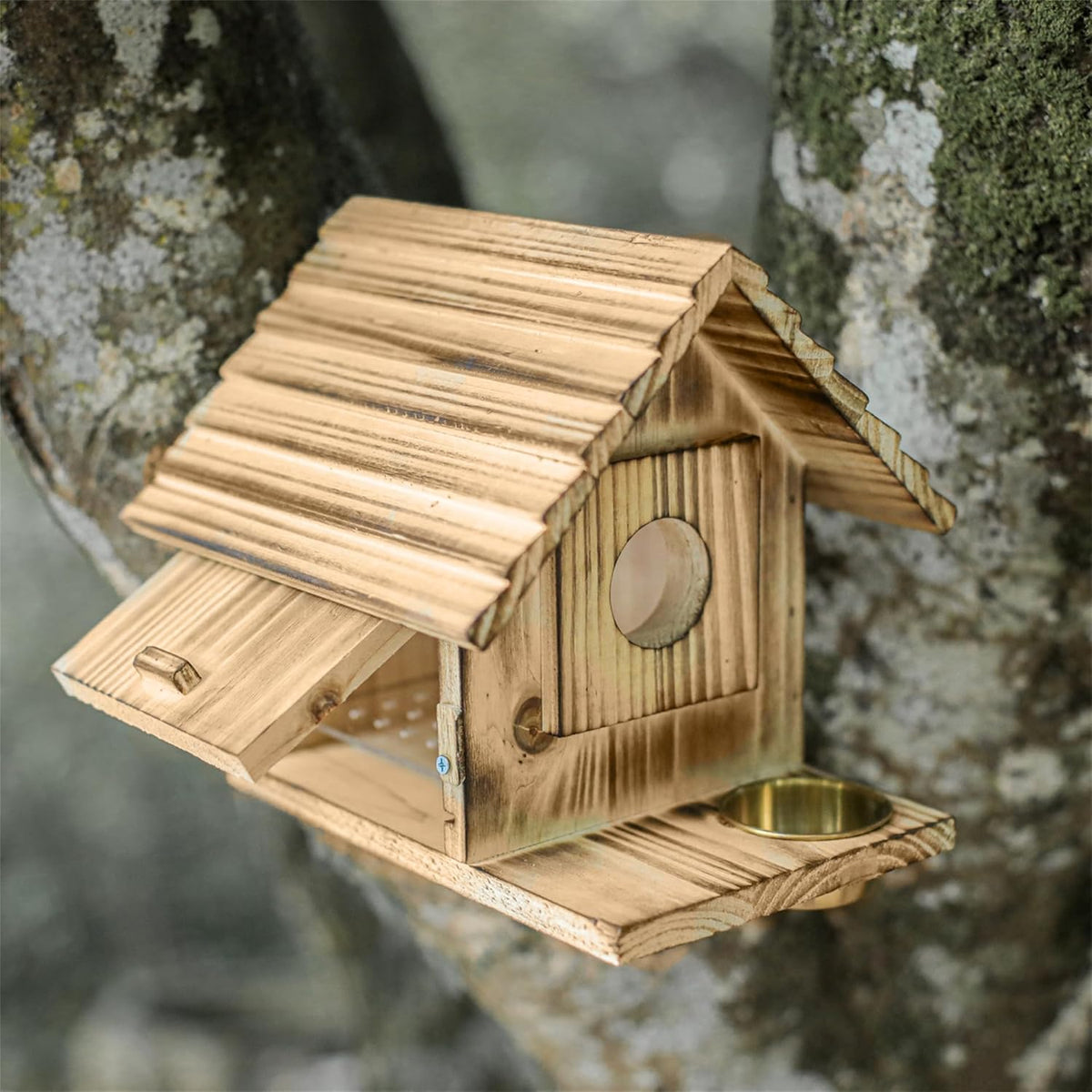 Weatherproof wooden bluebird house on rock with side circular entrance and open base