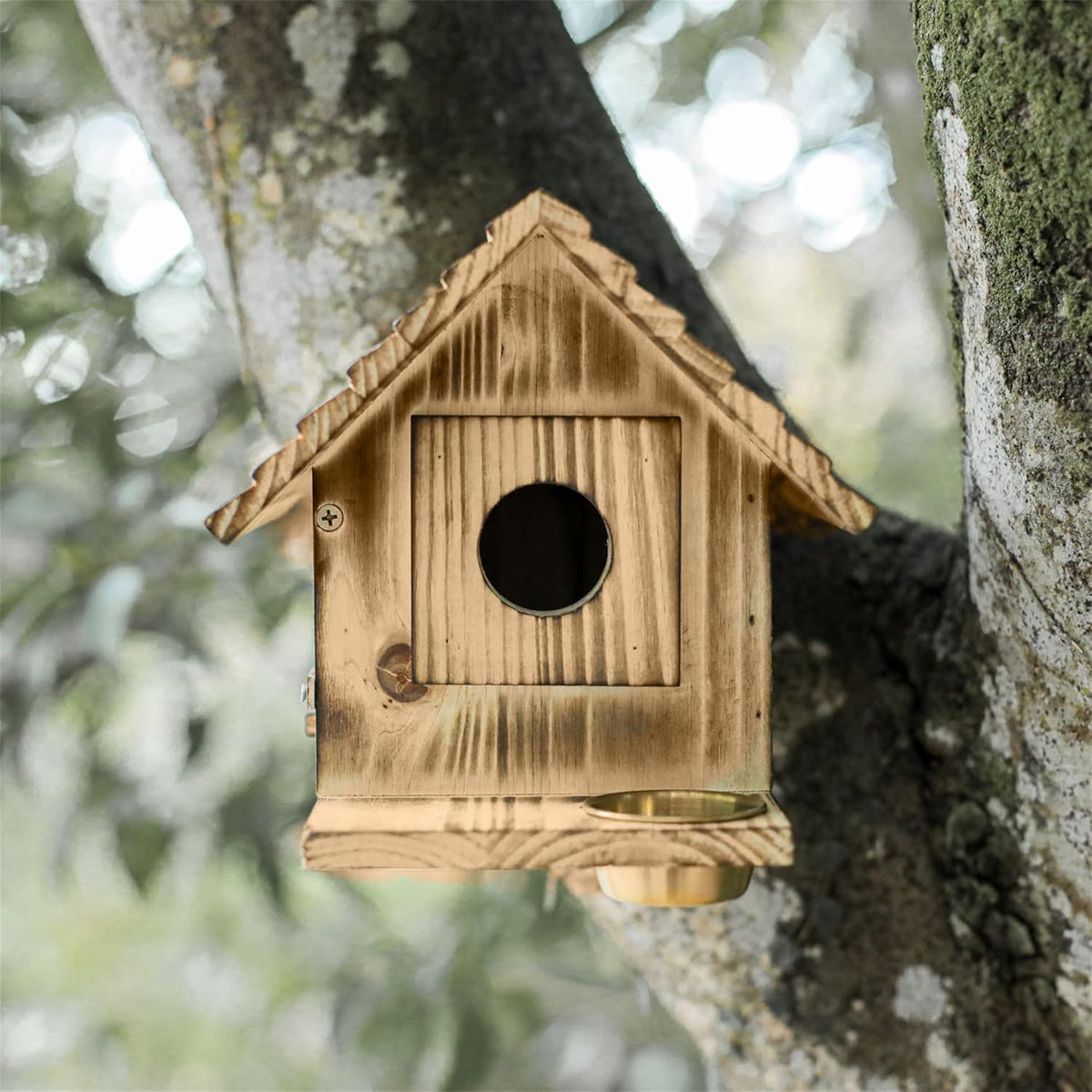 Weatherproof wooden bluebird house hanging on tree with round front entrance and brass cup