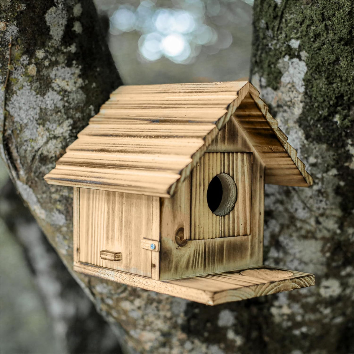 Weatherproof wooden bluebird house on tree with round entrance hole and hinged access panel
