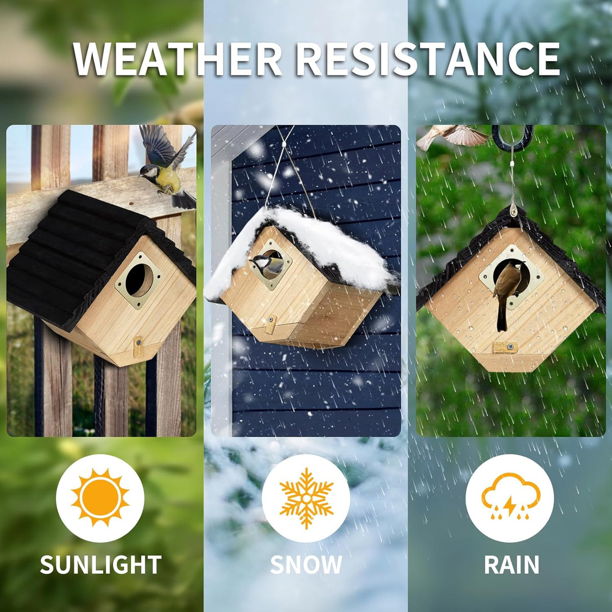 Wooden bird house with black roof and round entrance hole for outdoor use