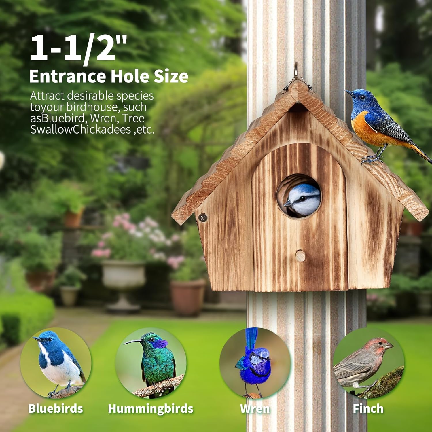 Wooden bird feeder house with round entrance hole on a post, rope hanger top