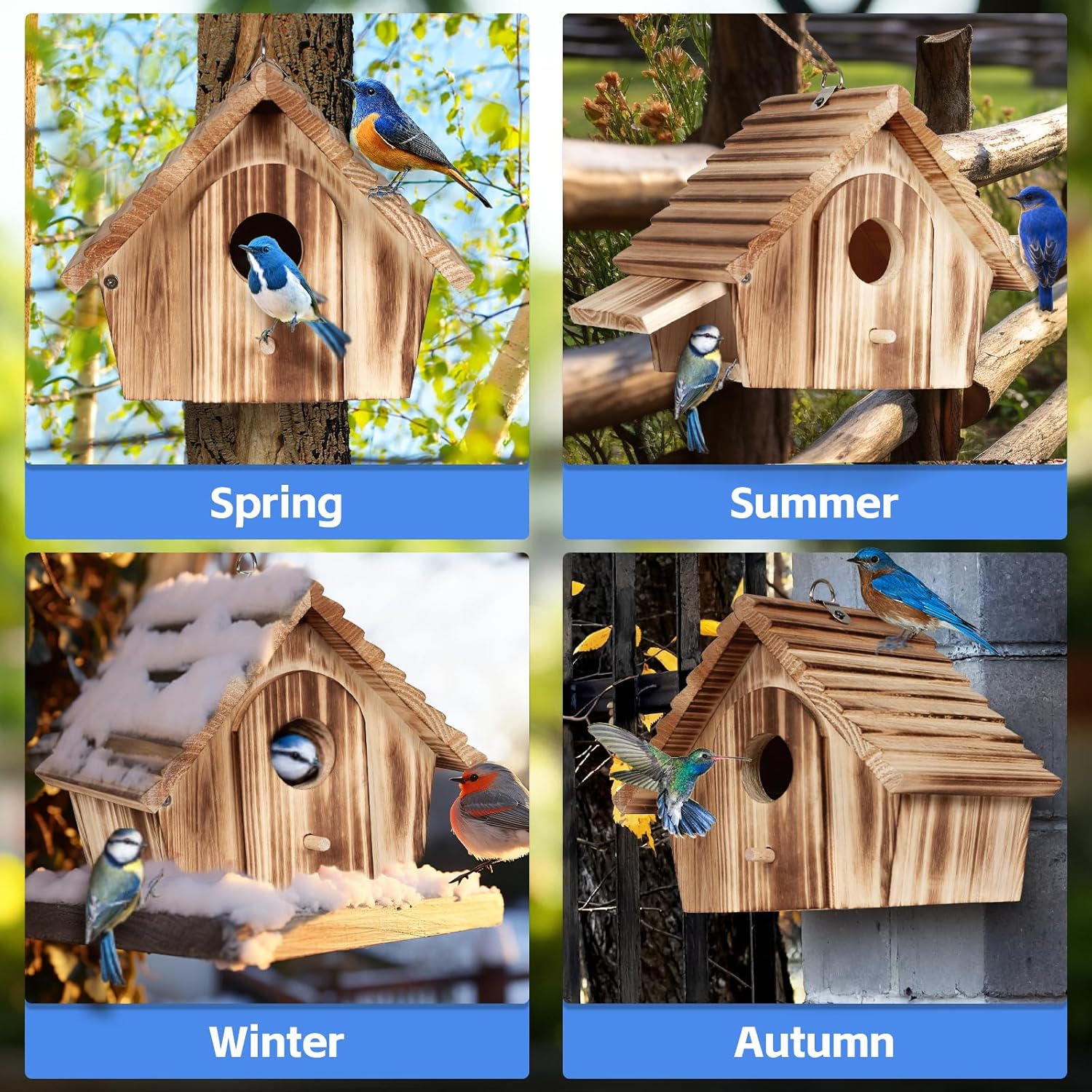 Wooden bird house on a post with round entrance hole and small door detail
