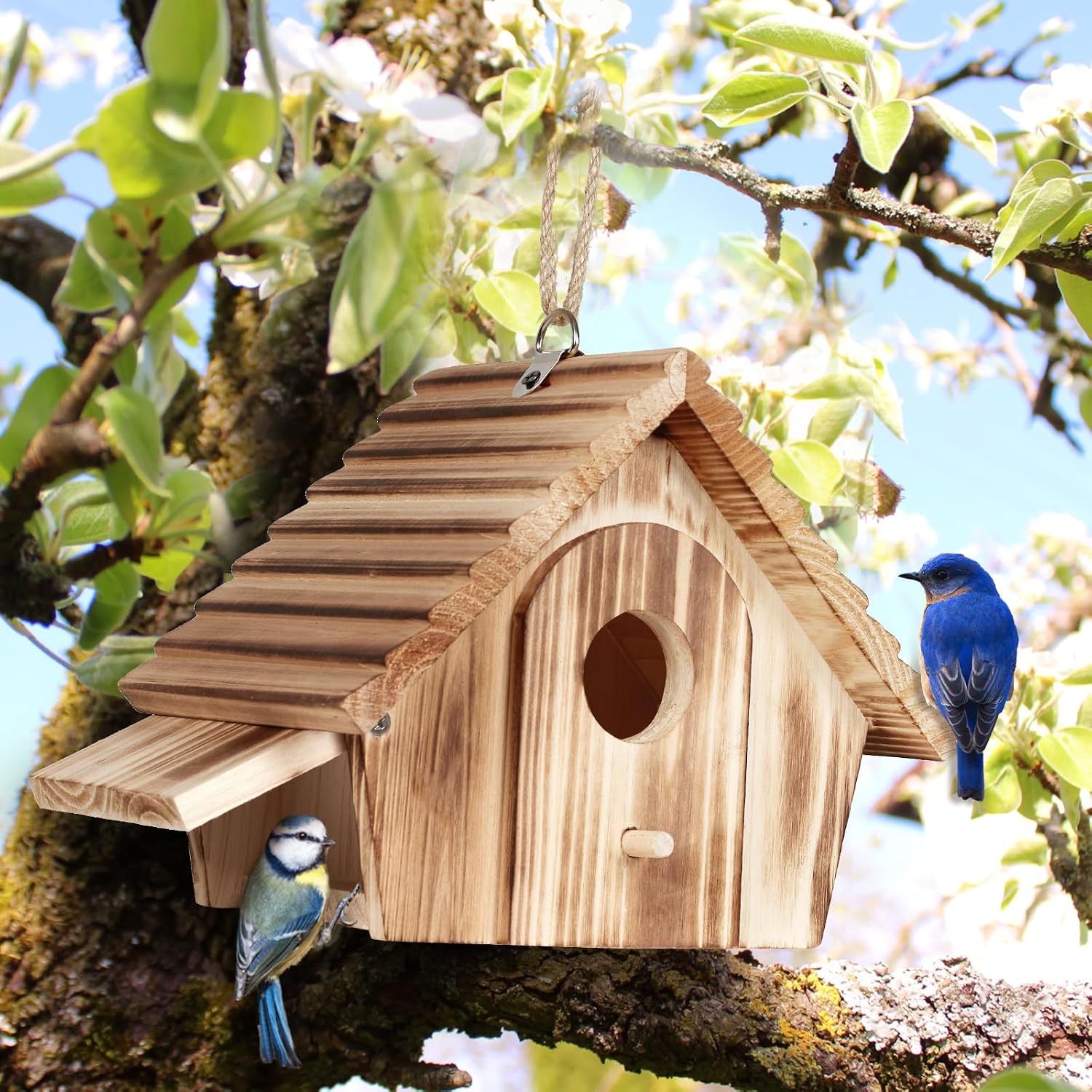 Wooden bird house with round entrance hole and rope hanger on a tree branch